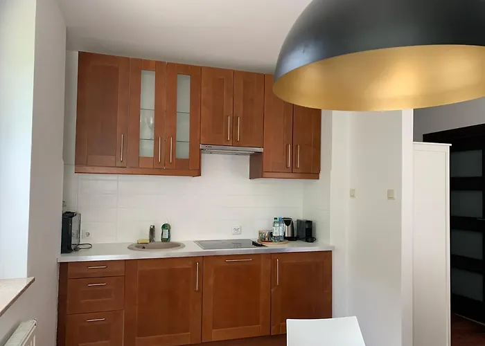 Apartment Mewa Polna *